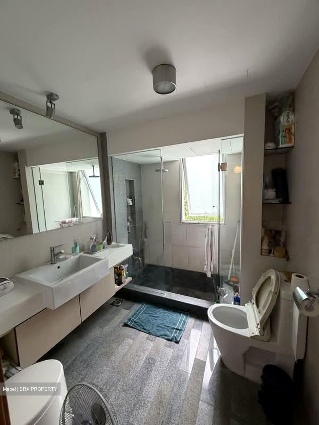 8 @ Mount Sophia (D9), Condominium #566496691